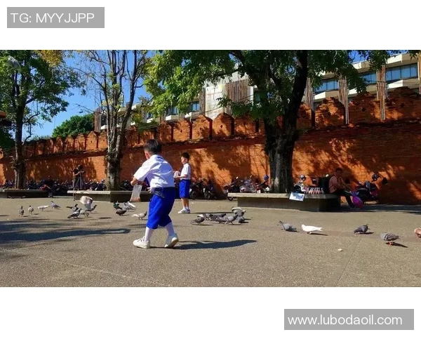 上海飞盘队个人能力分析与团队协作的深度探讨